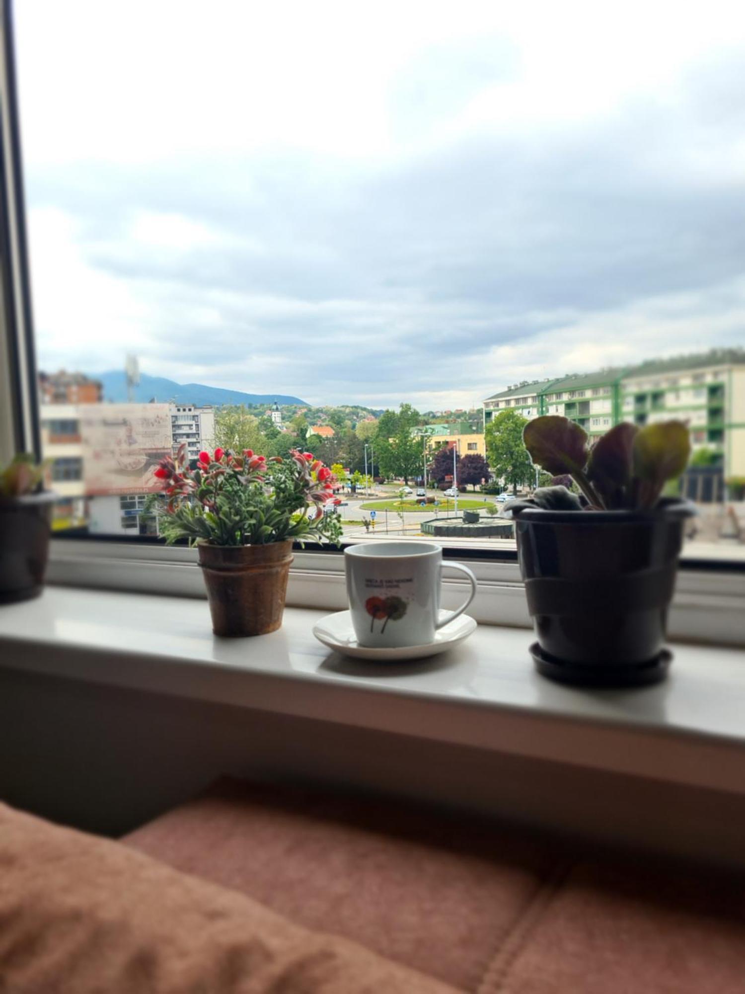 Stan Na Dan Apartment Loznica Luaran gambar